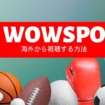 ABEMA de WOWSPOを海外から見る方法！VPNでジオブロック回避