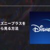 日本語字幕、吹き替えがない？海外旅行中に日本版ディズニープラスを視聴する