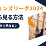 海外からバレーボール ネーションズリーグ2024を見る方法【日本語実況付き】